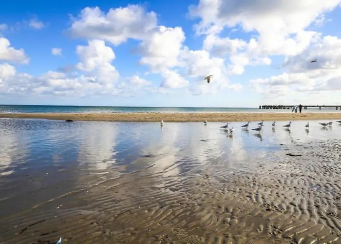 Seesternchen 3 * Scharbeutz